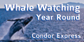 Condor Express & Whale Watching